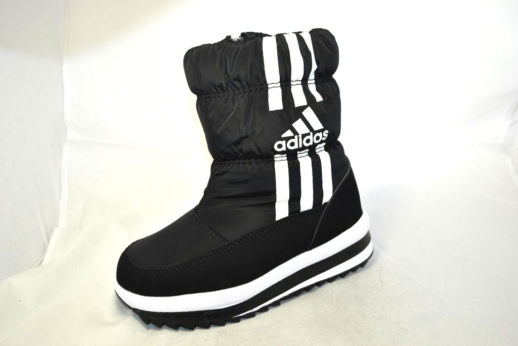 ���� �������. ���� ������� �����. ��� ����. ����� 1.