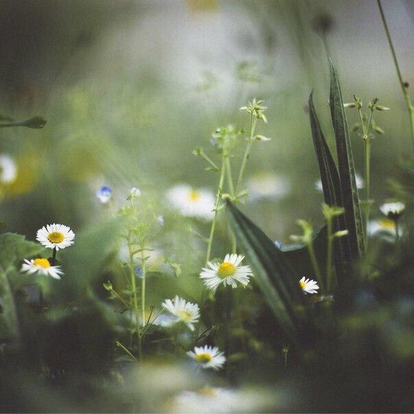 �������� ��������� ��� ������