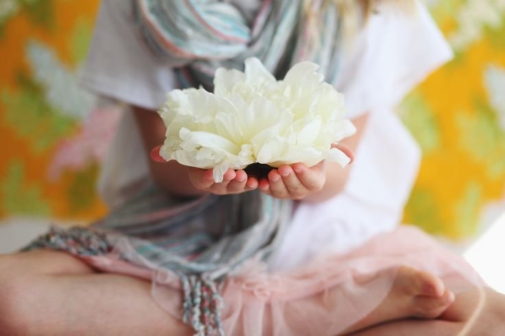 ���������� ������ � ���� -  �������� ��������� � �������