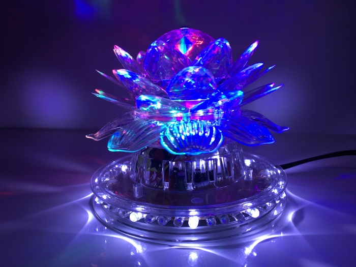 ���� �������. ��������� ����� ����� � ������������ �����. ����������, ������, ��������, ����������� ����, ������, ������� � ������������ ����. ������! ������� �� �� � ���������. ����� -6/16. ���� 11 �������.