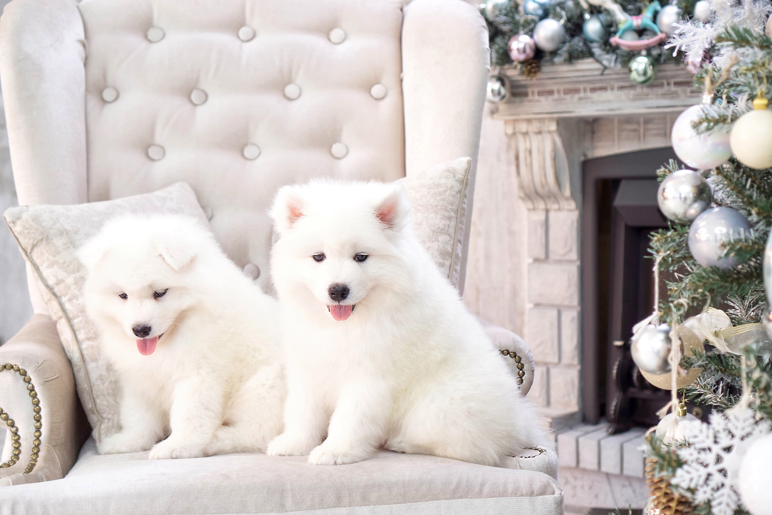 ���� 1 ����� �� ���������� � ������ ����������� ������� �������! ������� ����������!