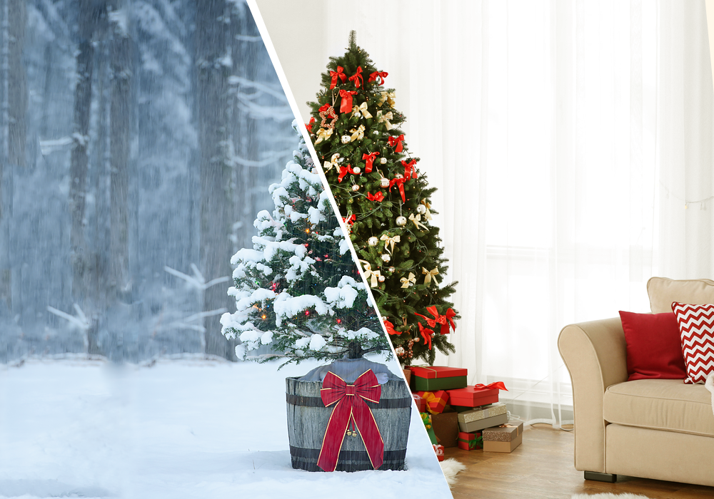 ������� 17.12. ��*���*�� ��*���*�� ���*���.����������� ���������.����� 10 + ������ ��� ���������� � ����, ��� ������ � �������� ����� �������.���� 3.