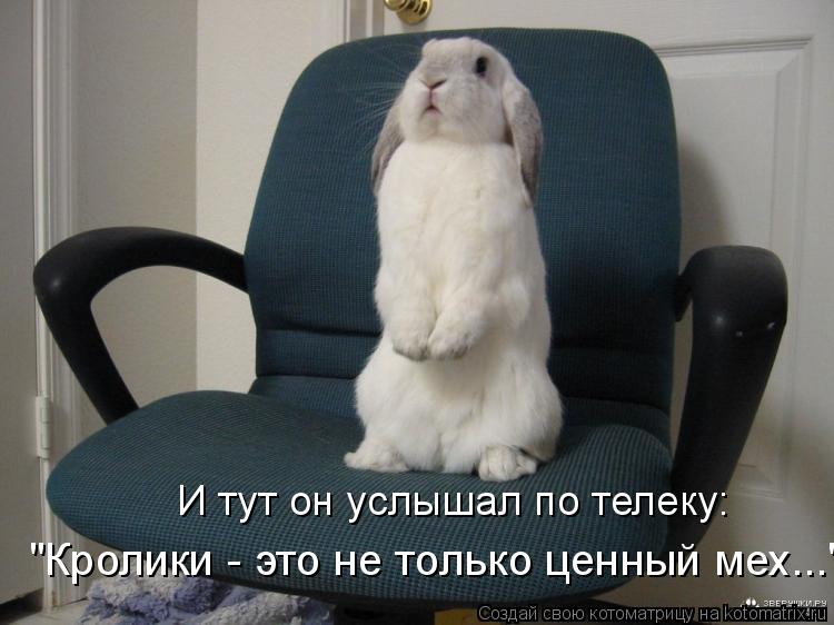 ������� - ��� ������ �� ������ ���...