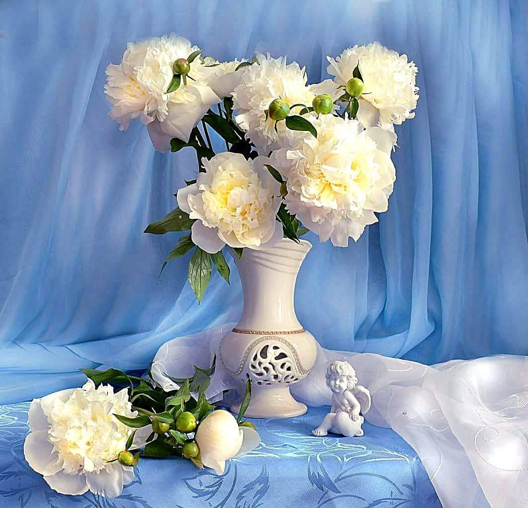 ���������� ��������� ����...