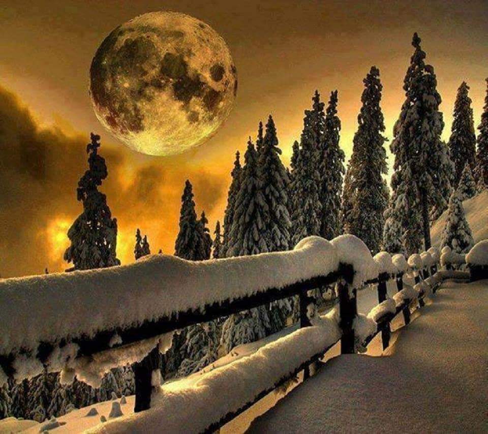 ���-�-�-�.... 