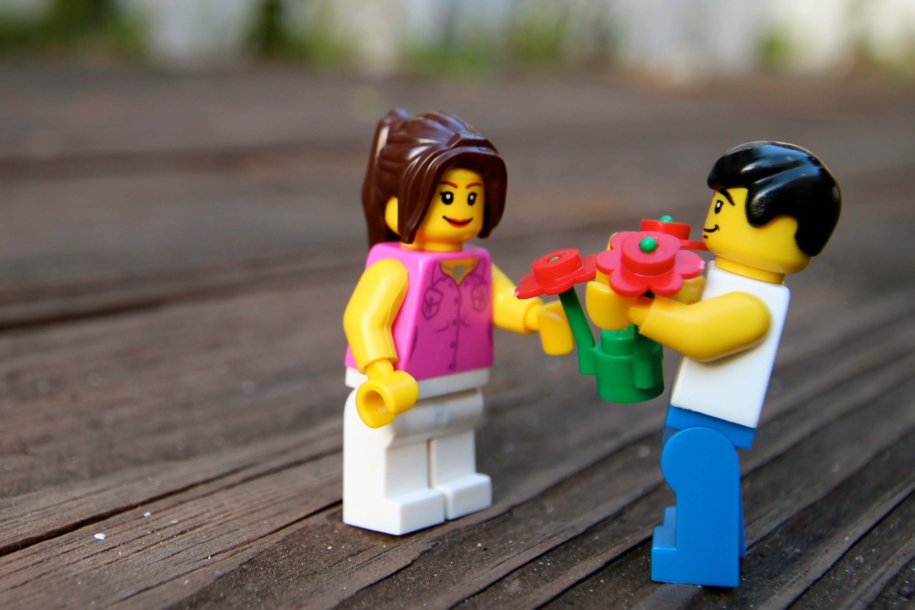  ����� ��\��: ������, ���������, �����, ����, ���������, ������� ������, ��������� ������, �������� �����, ����� �����, ��������, ���������. � ����� �������: ����� �����, ����� �����, ����� ��, �������� � ����� ��\��