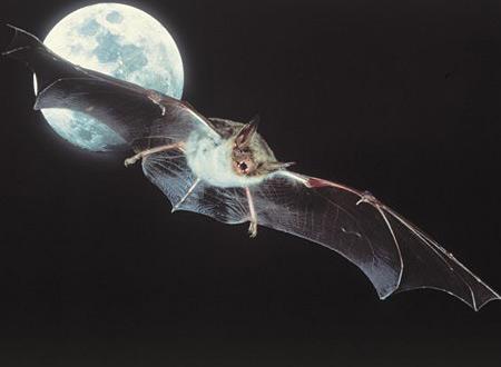 '' ���� �����....''