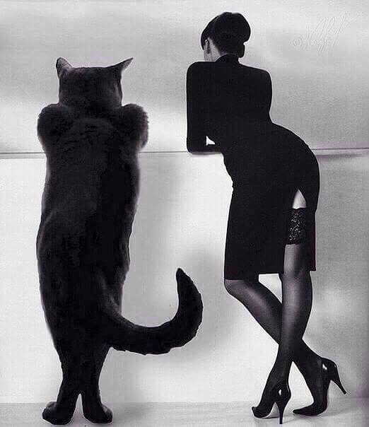 �������, ������� �� ����������� ������ � ���� ���� �������. ������� - ��� ���� ���������� ���������, ��� � �� ������� ������� ���� ���� ����� � ���� ���������� � ����...