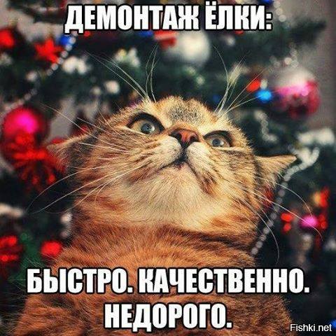 ��� ��� ������ - �������. ���� ��� ������ - ��������.