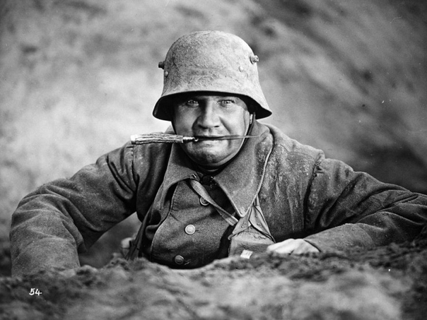 ����� �� �������� ������ ����