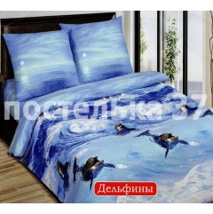 ���� �������. ��������� ���, ��������, �������, ������, �����, ���������, ��������� � ������ ������ �� �������������. ���� ����� ������ �� 39 ������.