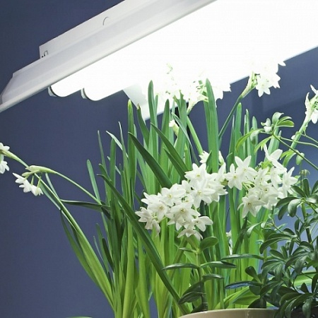 ����������� ��� ������� "3 ������"