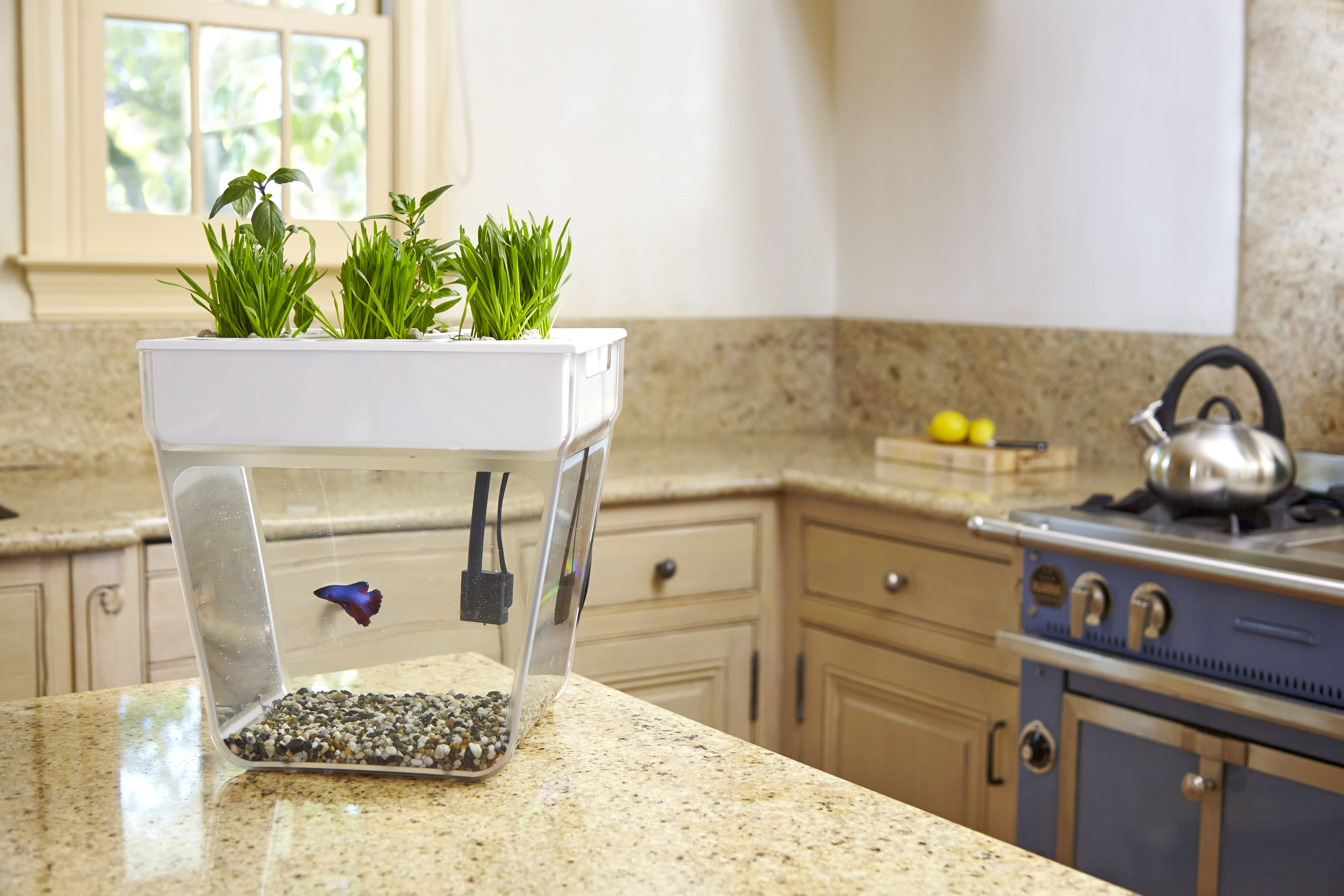 ���� �������. ���������� ����������.����� ��� ����������� �������� � ����� �� ������