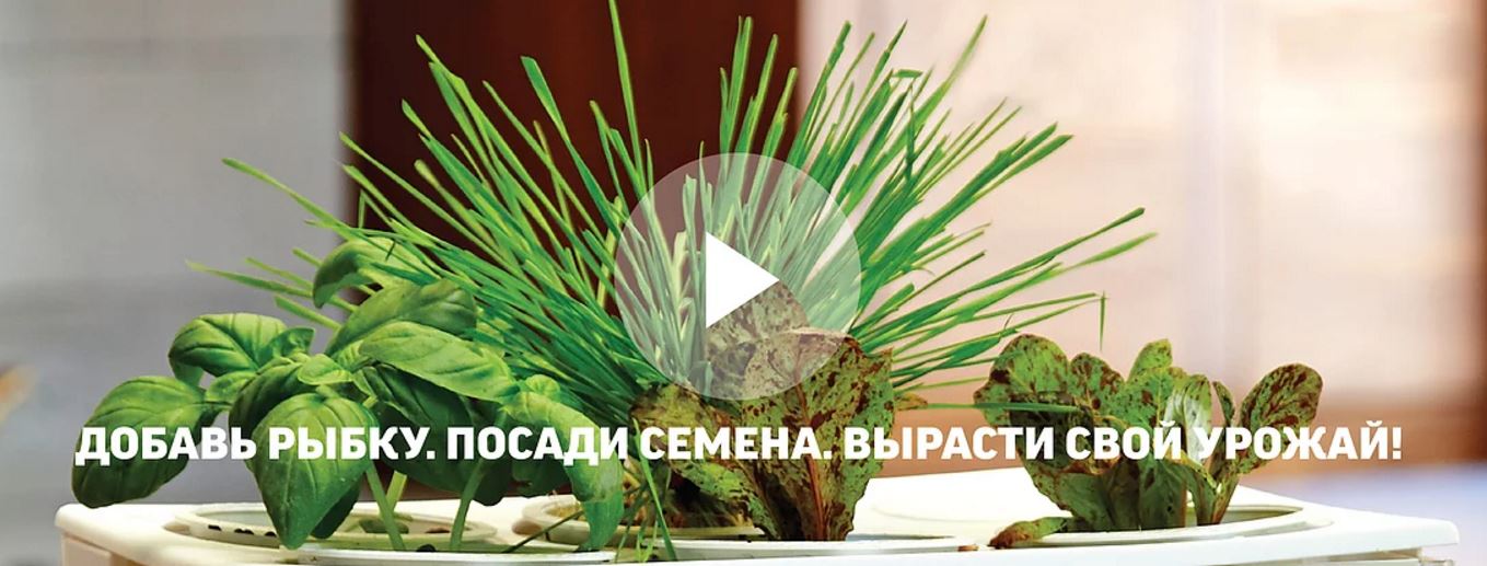 ����! ���������� ����������.����� ��� ����������� �������� � ����� �� ������  ������������ ���. ������� ��� ��������� �����