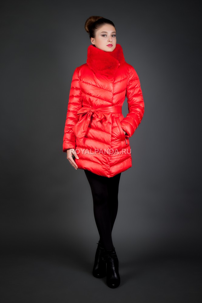 ���� �������. ��������� ���� �� ��������� �����. ������, ������, ����� + ����. ������������� ������. ���� ���� ����� �����. ����-������������, ����-������ �� ������� �������. ���� �� 1900 ���.