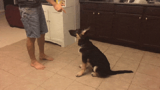 � ���� �� ������ ������������� ���� ��������...