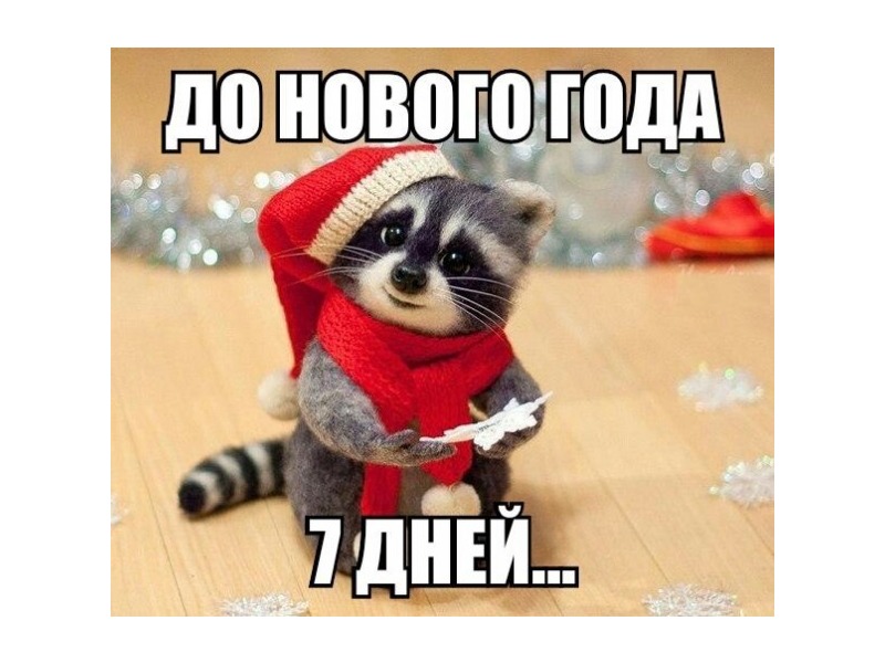 ������ �� ������ ����