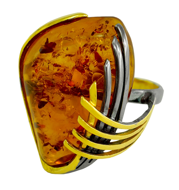 ������. ����������� ������  � �������, ������ � ��������