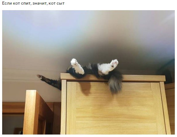 ������� ����