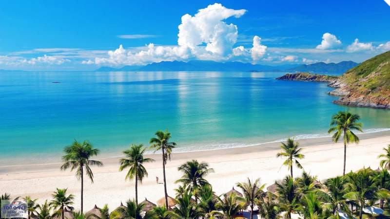 �������  �������