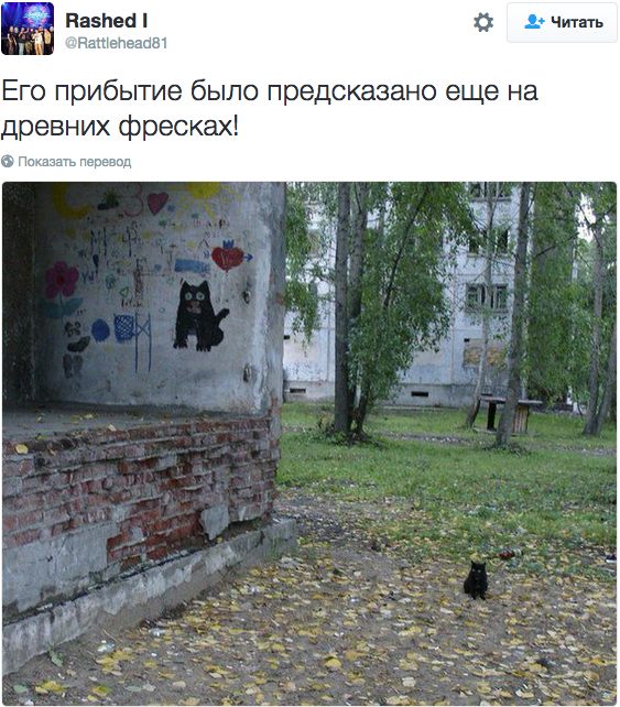 ������� ����