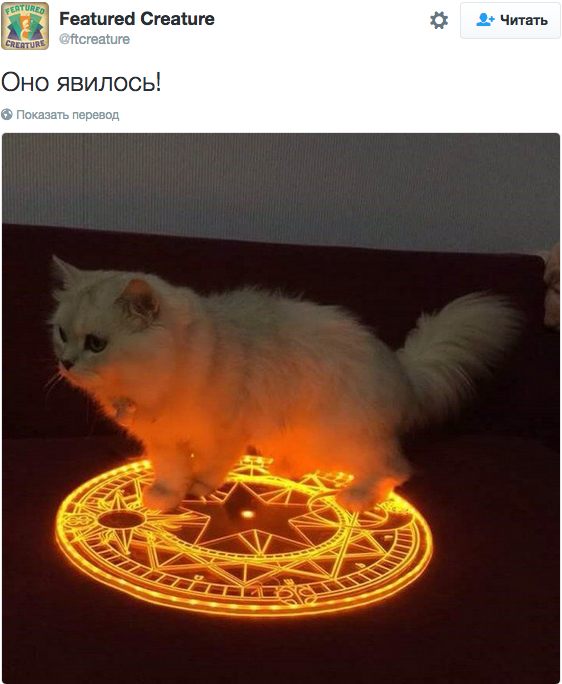 ������� ����