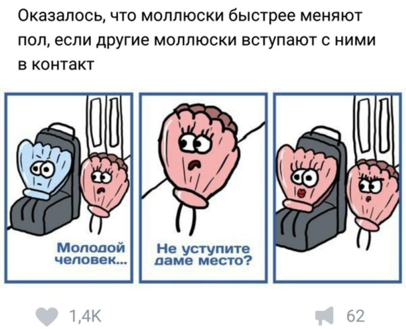 �����