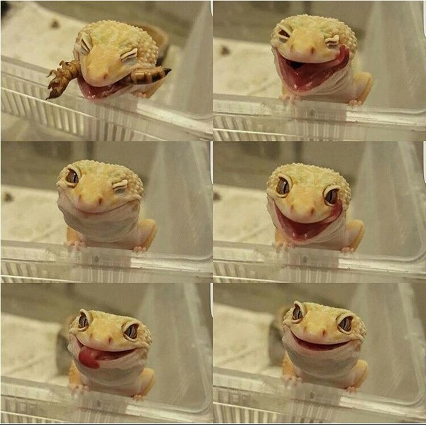 ������� ����
