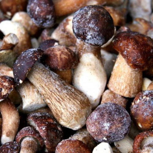 ���� �������. ���������� ��� - ����������������� �����, ������, ����� � �����. ������ ������ � �������� - 2