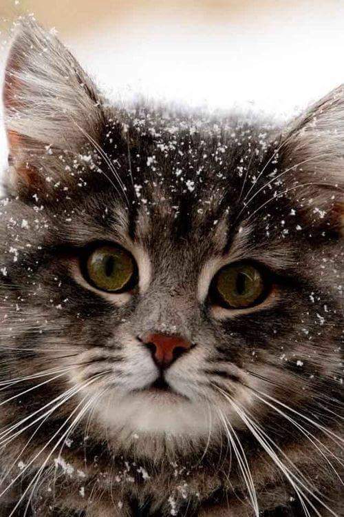 ��- ��-��...