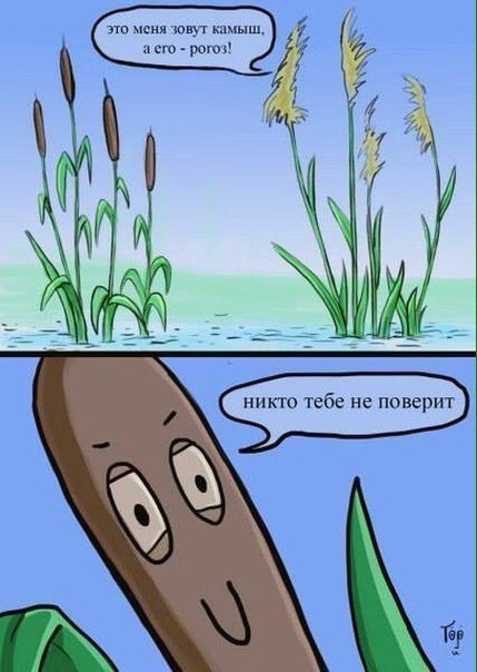 �����