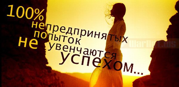 ������ � ���������:  