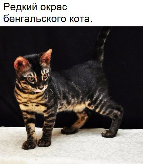����