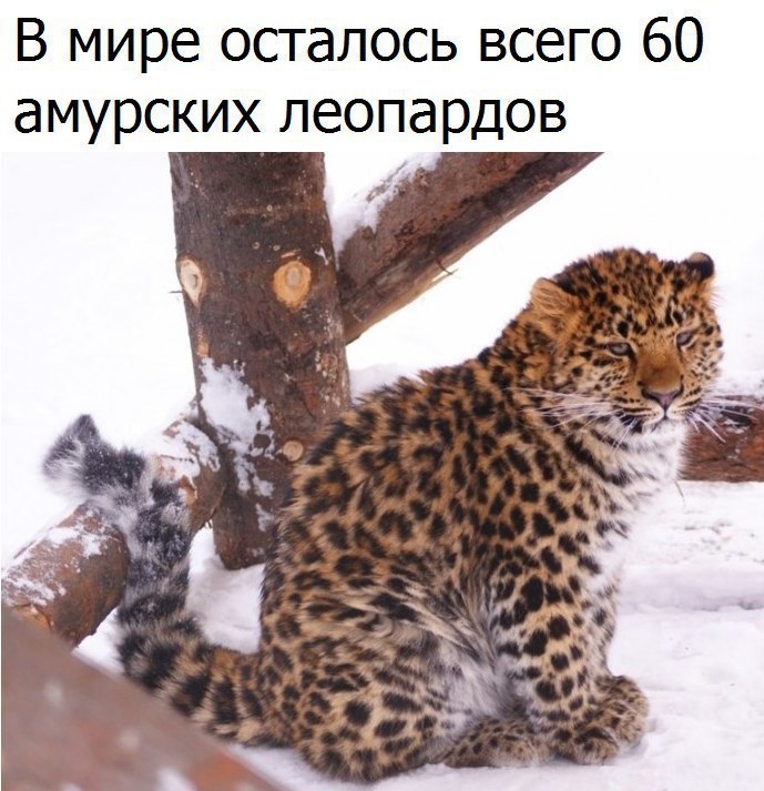 � ����