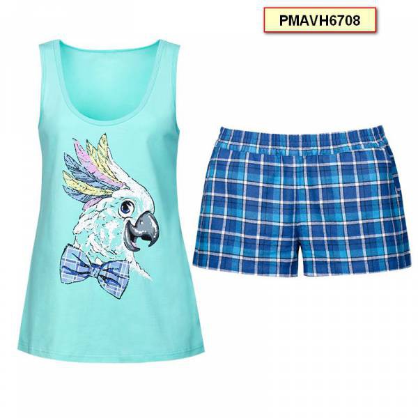 ���� �������.������ �������� Pelican.��������� �� ����� ��������� �����-2017.���� 17 �����.