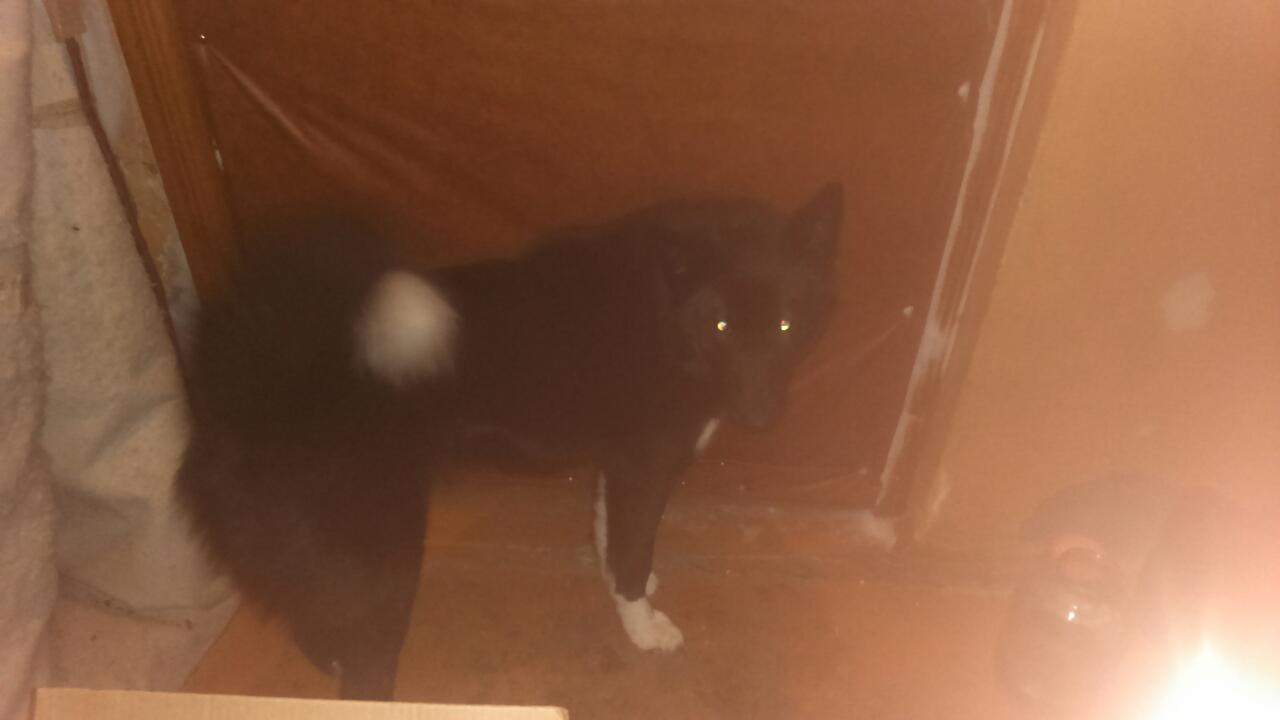 ������� �������, ������� ����)))������� ������!!! ������_ ����������� �����!