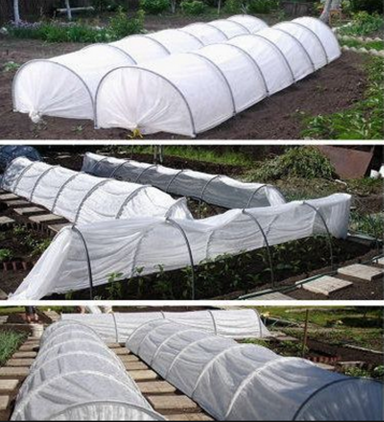 �������, ����� ��� �������, ��������� �����, ������� �������� �� ������������� �� ����� 2016 �. ����� ������!