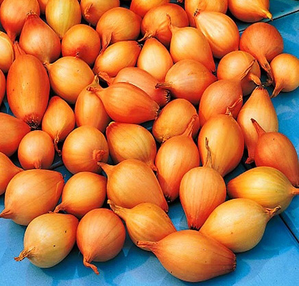 ���������� �� ��� ���-����� ���� ����? ��������? �����