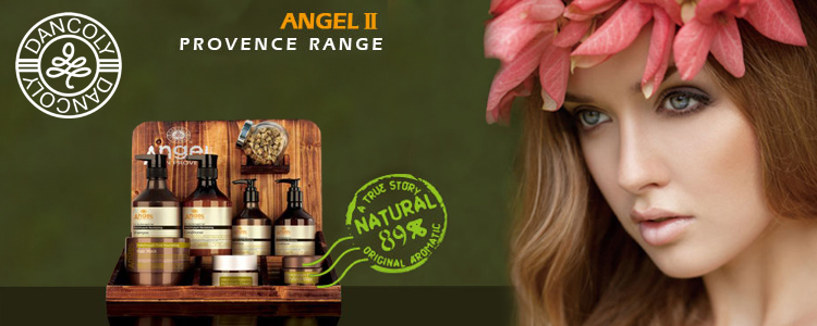 ��  ����� �������. ����������� ��������� ��� ����� Angel Professional
