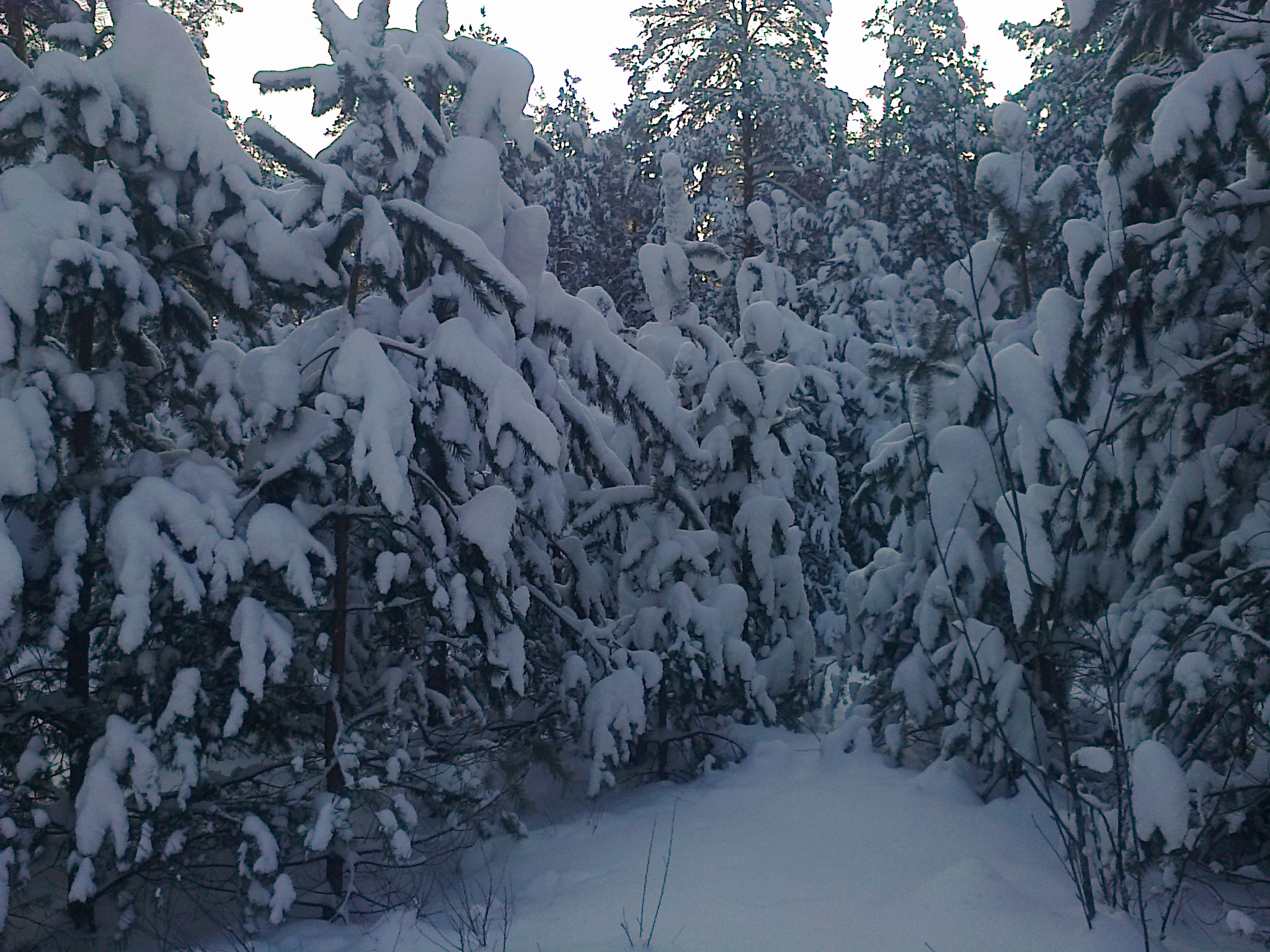  � ����� �����!!!