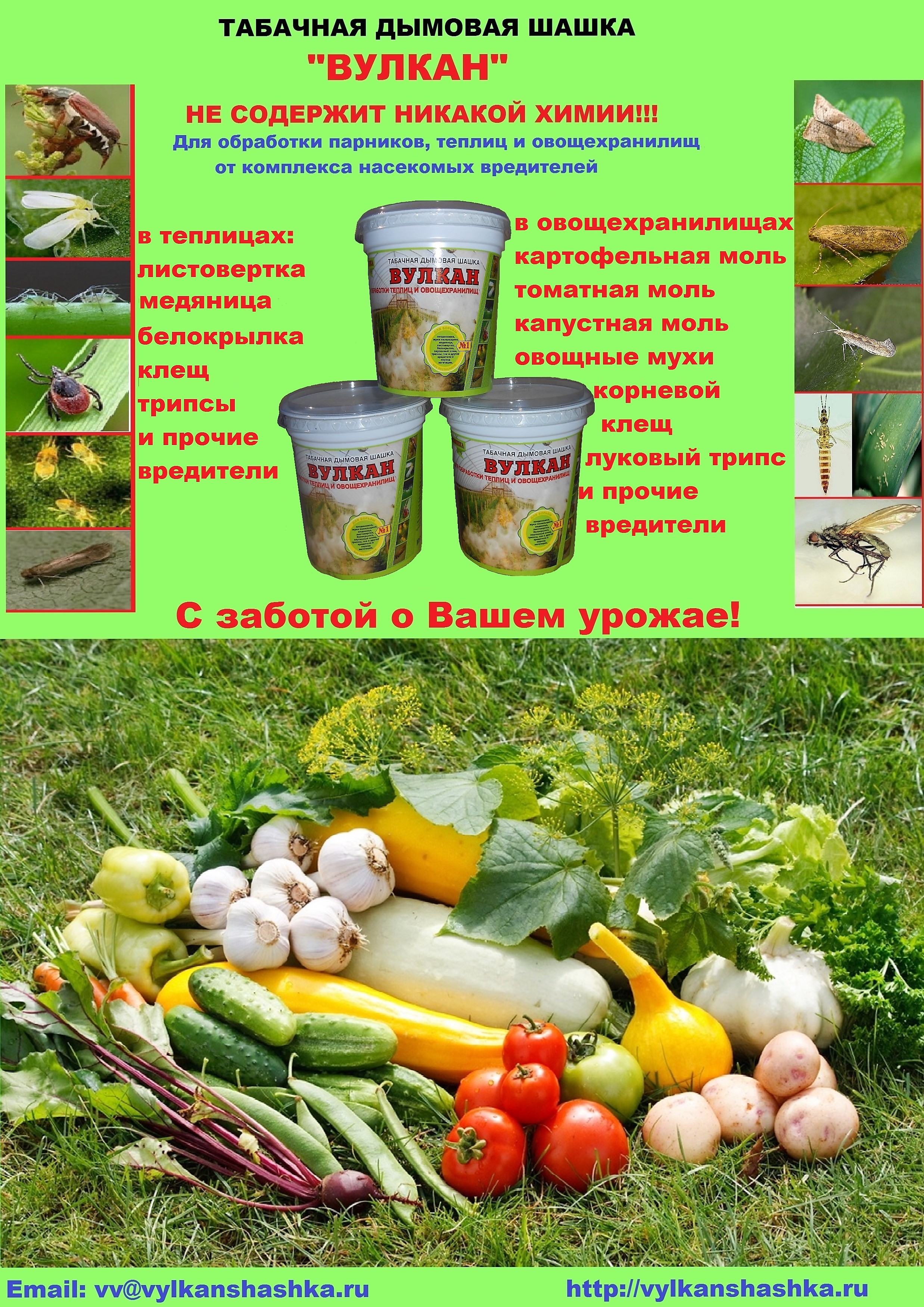 �������� ����� "������"