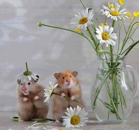 ���� ���� � ��������� ���������������� � ����� � ����������� ������...