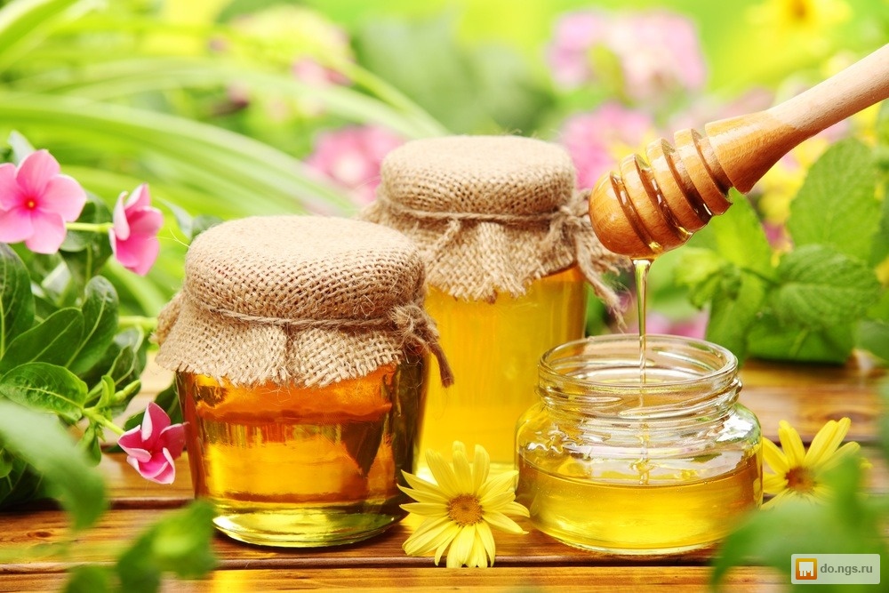 [b]��������� ������: ����������� ��� � �������� ������������, ������������� ���, �������� ����� � ������ ������ -1/2017[/b]