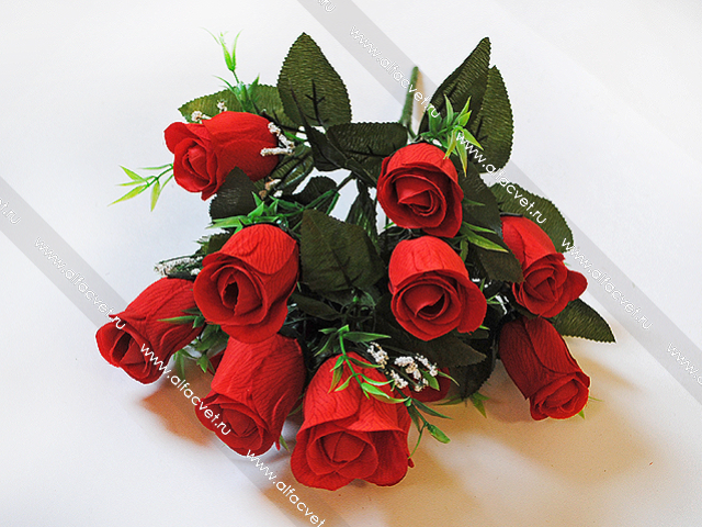 �������� ��������� � �����. ���� �� ������������� ������