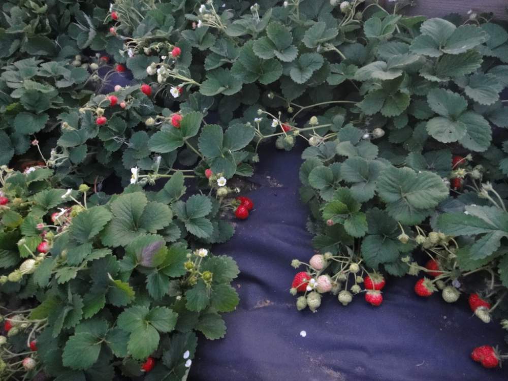 ��������� �� ����! ����������, �������� ����� � ������, ������-��������, ������, �� ����� �������� �����.