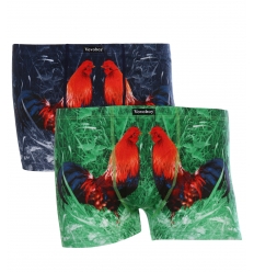 ���� �������. ������� �������� �� ����� ������ �����, ����� �� 13 ������, ������ ���أ �� 50 ������. �� ����������.