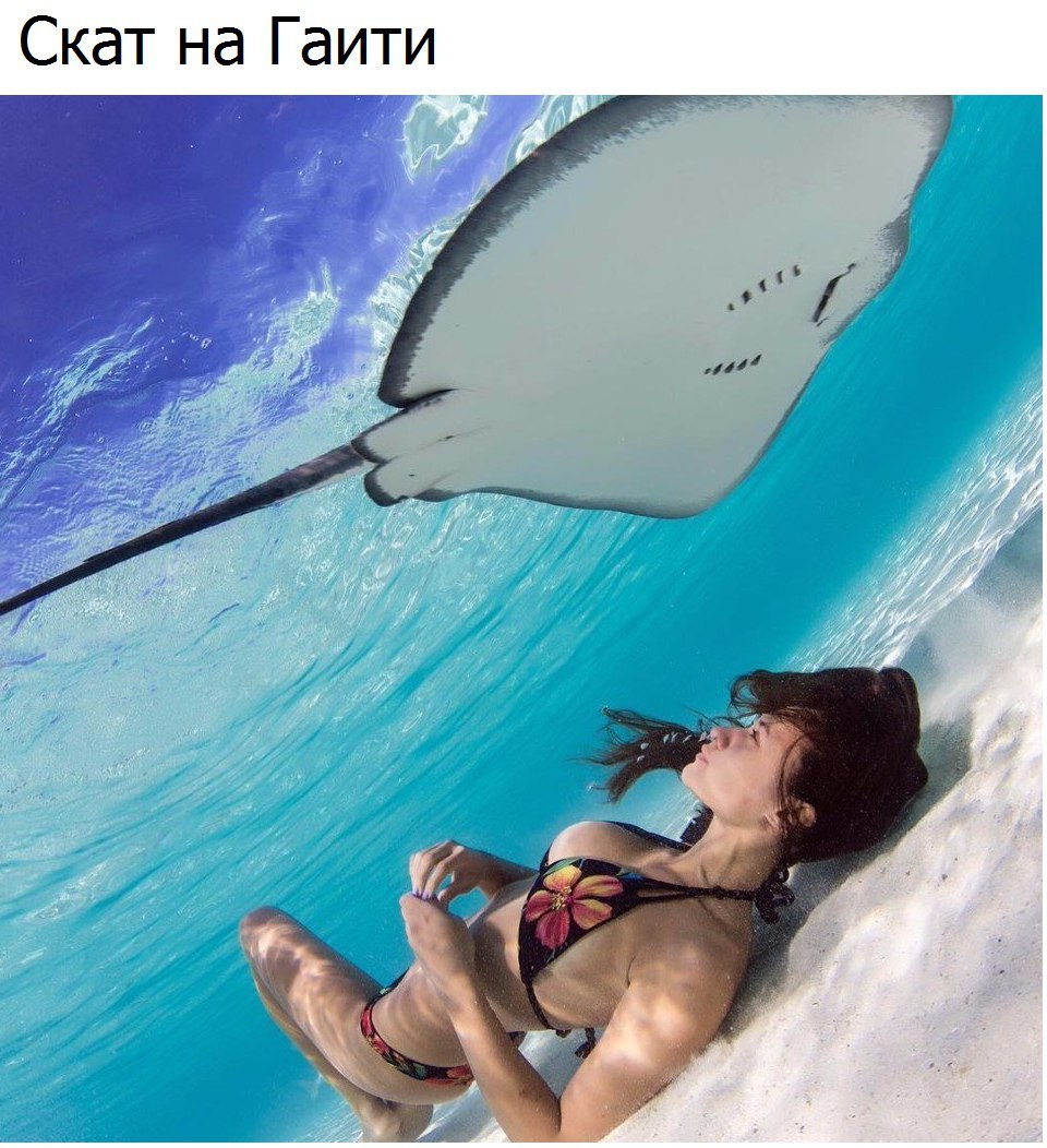 ������� ����