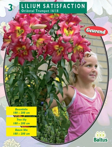 ���������!! ���� �������. ����������� ����� ��� ������ ����. �����