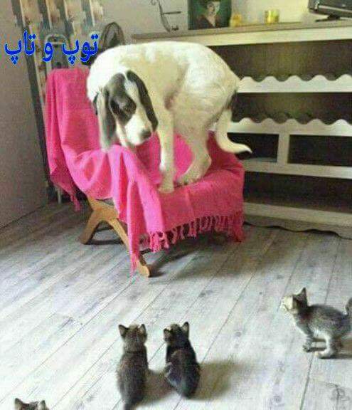  � ������� �� ��������� ���� ���� ����� � ������, ���, �������, � ������ ������� ��������� �������..