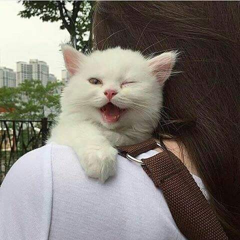 ������ ����� - �� ������� ���������...